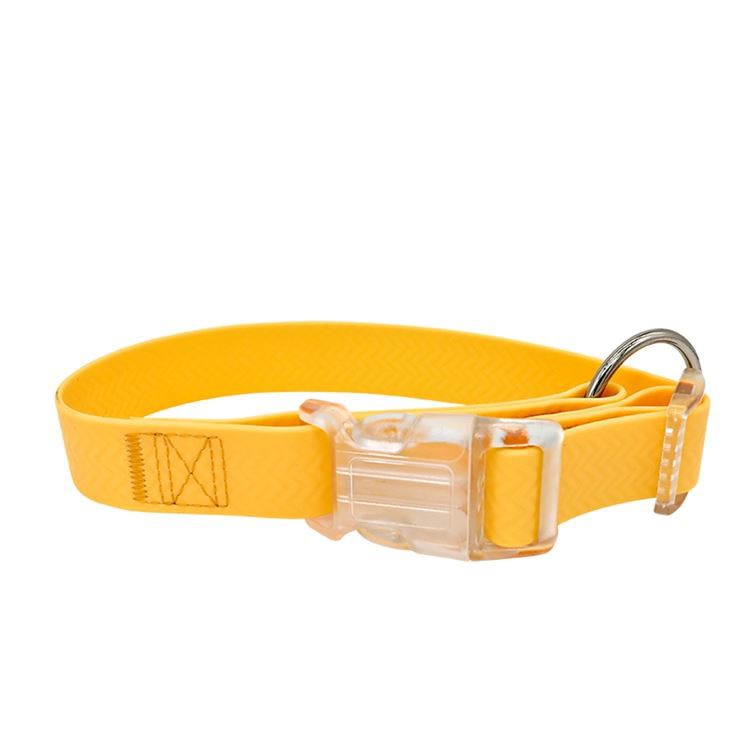 Collar Solid Yellow 1