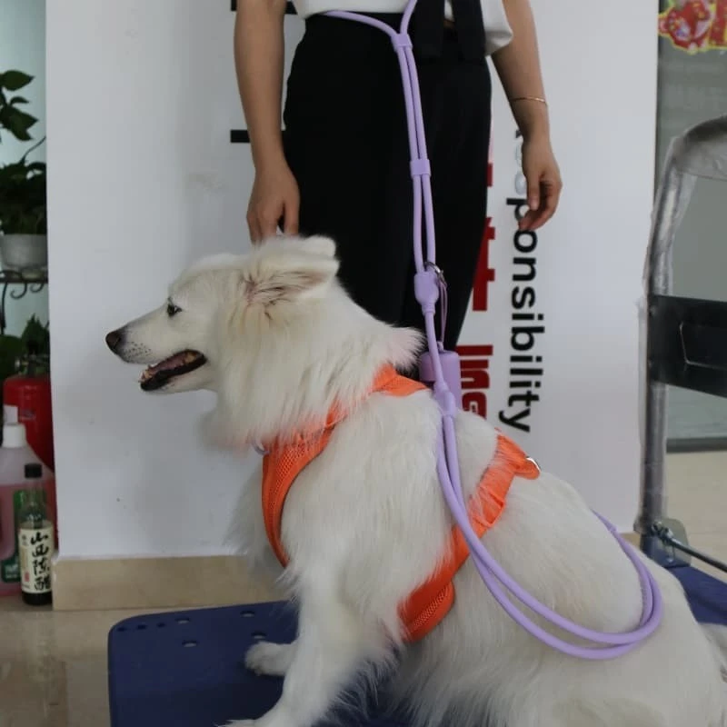 Hands Free Dog Leash