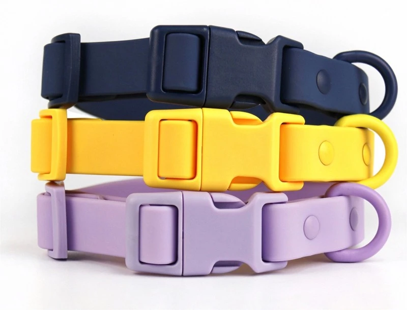 Buckle and D-ring inspection for a custom dog collar Buckle and D-ring inspection for a custom dog collar