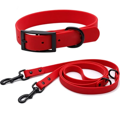 Inspection of hardware and webbing connections on a dog collars and leashes Inspection of hardware and webbing connections on a dog collars and leashes