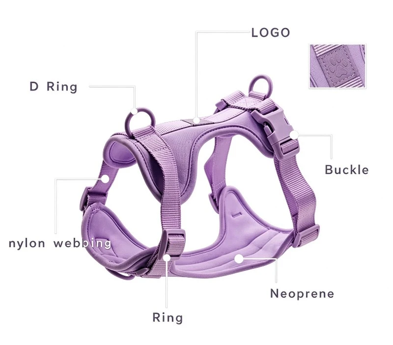 Checking stitching quality and seam appearance on a dog harness Checking stitching quality and seam appearance on a dog harness