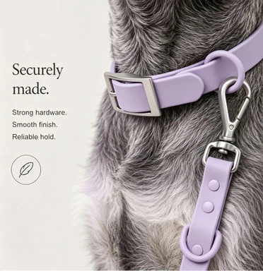 How to Prevent Buckle Breakage in Custom Dog Collars
