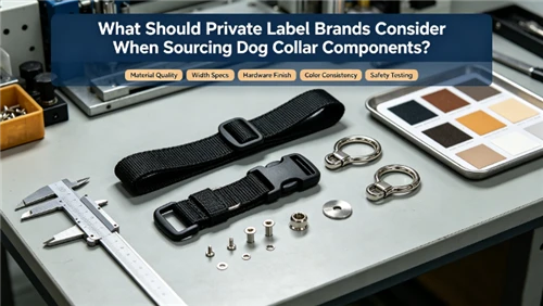 What Should Private Label Brands Consider When Sourcing Dog Collar Components?