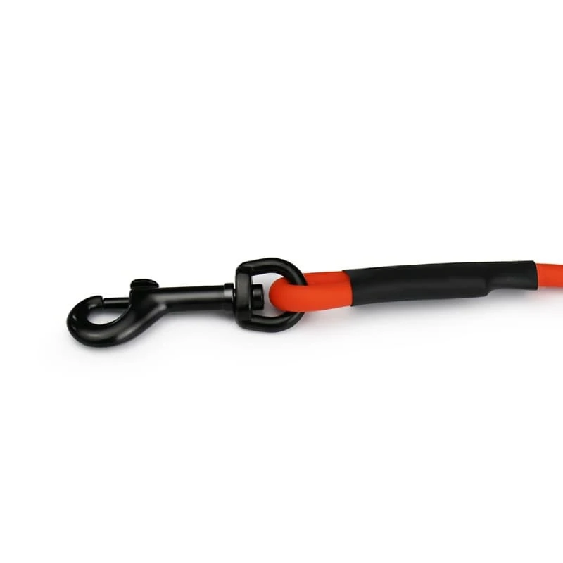 long outdoor dog leash 1 long outdoor dog leash 1