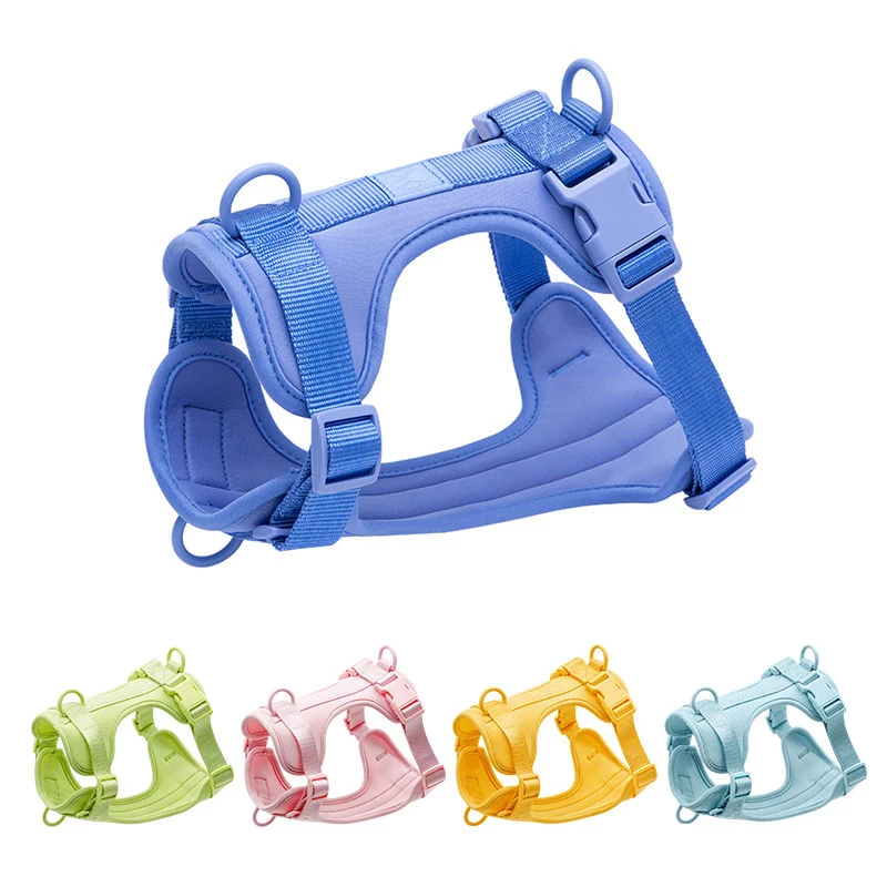 Custom dog harness with adjustable webbing straps and hardware for private label brands Custom dog harness with adjustable webbing straps and hardware for private label brands