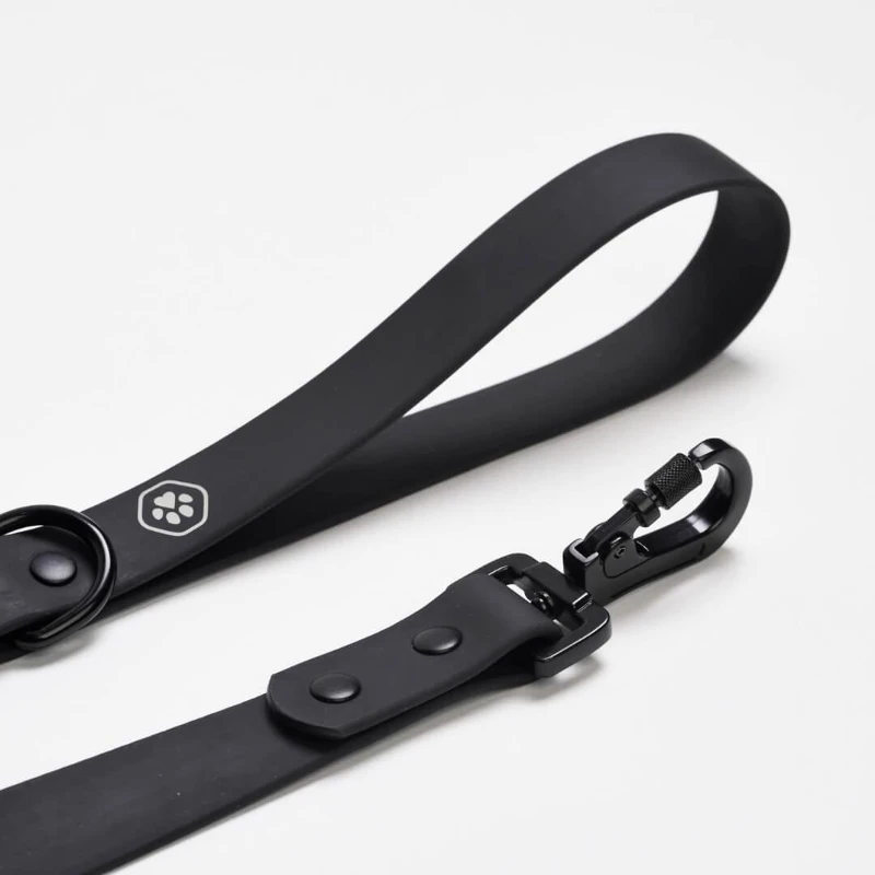 Matte PVC coated webbing dog leash with metal snap hook Matte PVC coated webbing dog leash with metal snap hook