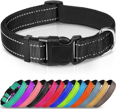 Adjustable Nylon Reflective Dog Collar