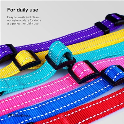 Adjustable Reflective Nylon Dog Collar