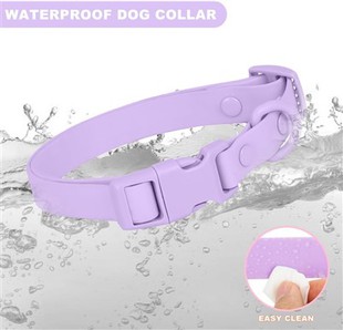 Adjustable PVC Buckle Dog Collar