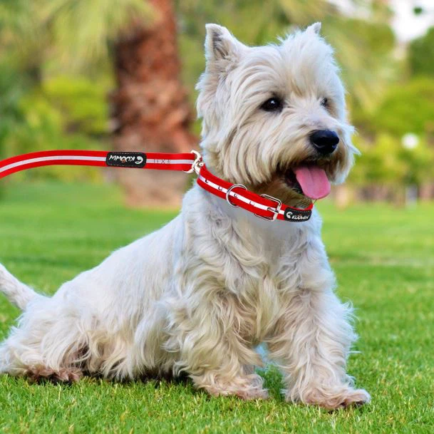 Newest Waterproof Pet Collars Reflective Dog Leashes