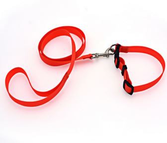 High Quality Custom Made Waterproof Red Pet Dog Leash And Collars