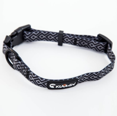 Dog Collar And Leash New Arrived