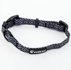 Dog Collar And Leash New Arrived