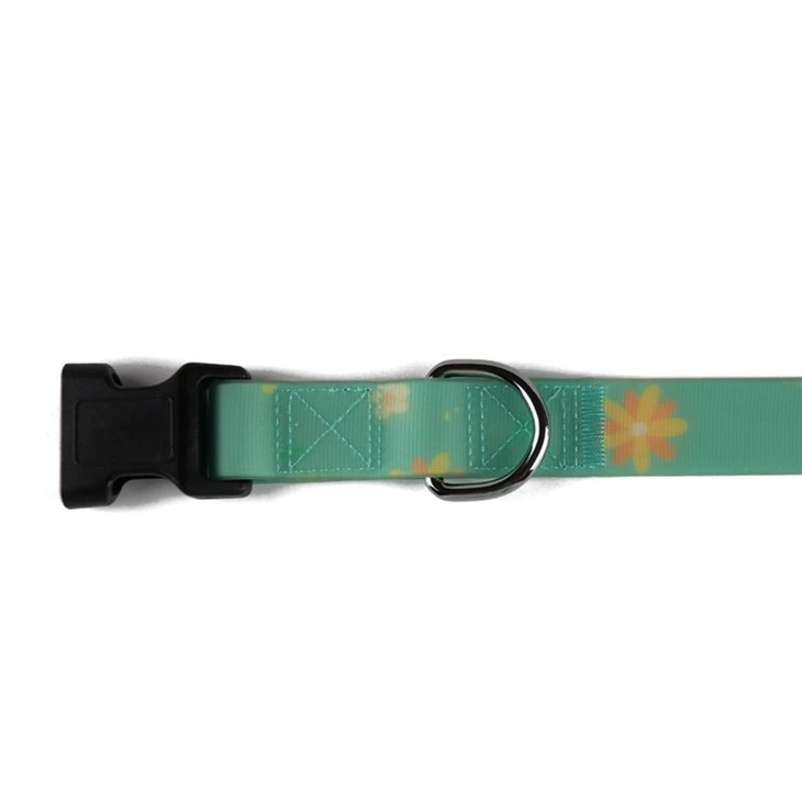 Top Pet Collar Manufacturer