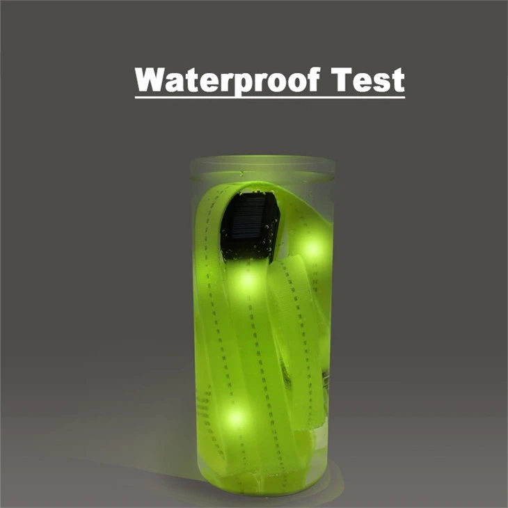 Waterproof LED Pet Leash