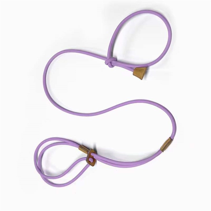 All-in-One Nylon Dog Leash