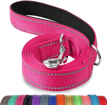 Double-Sided Reflective Nylon Dog Leash